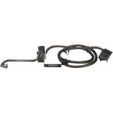 Load image into Gallery viewer, CVS192 Vapor Canister Vent Solenoid Standard Ignition Canada