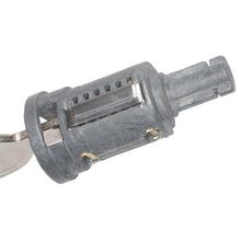 Load image into Gallery viewer, DL-181 Standard Ignition Door Lock Kit Standard Ignition Canada