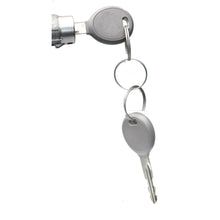 Load image into Gallery viewer, DL-212 Standard Ignition Door Lock Kit Standard Ignition Canada