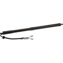 Load image into Gallery viewer, DLA1547 Tailgate Lock Actuator Motor Standard Import Canada