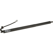 Load image into Gallery viewer, DLA1658 Tailgate Lock Actuator Motor Standard Ignition Canada