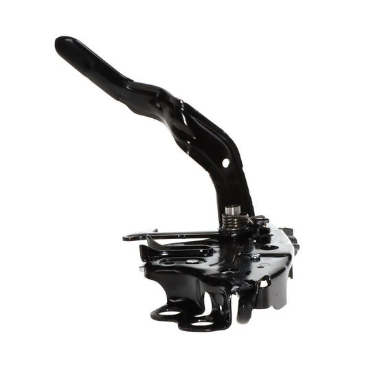 DLA2081 Standard Ignition Hood Latch Assembly Standard Ignition Canada