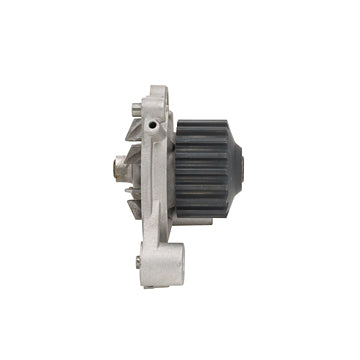 DP019 Engine Water Pump Dayco Canada