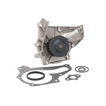DP067 Engine Water Pump Dayco Canada