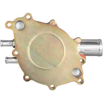 DP10081 Engine Water Pump Dayco Canada