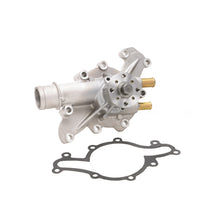 Load image into Gallery viewer, DP1009 Engine Water Pump Dayco Canada