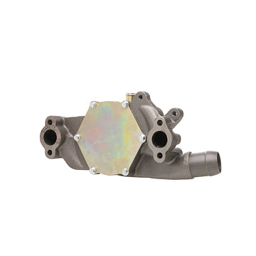 DP1019 Engine Water Pump Dayco Canada