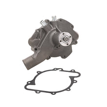 Load image into Gallery viewer, DP1071 Engine Water Pump Dayco Canada