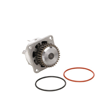 DP1118 Engine Water Pump Dayco Canada