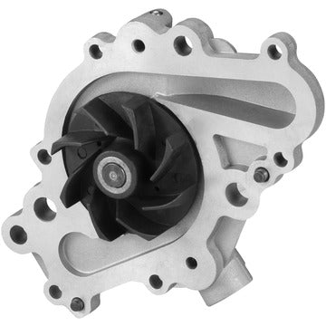 DP1219 Engine Water Pump Dayco Canada