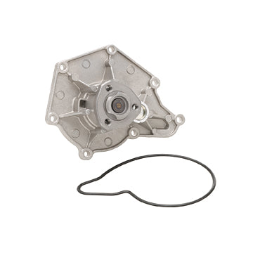 DP1252 Engine Water Pump Dayco Canada