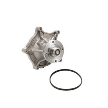 Charger l'image dans la galerie, DP1309 Engine Water Pump Dayco Canada