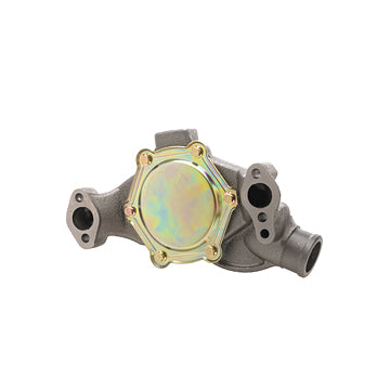 DP1313 Engine Water Pump Dayco Canada