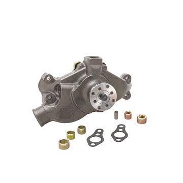 DP1313 Engine Water Pump Dayco Canada