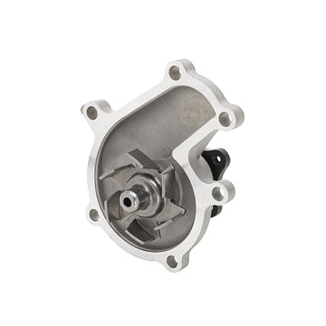 DP1318 Engine Water Pump Dayco Canada