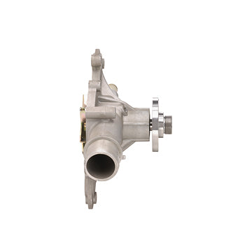 DP1333 Engine Water Pump Dayco Canada