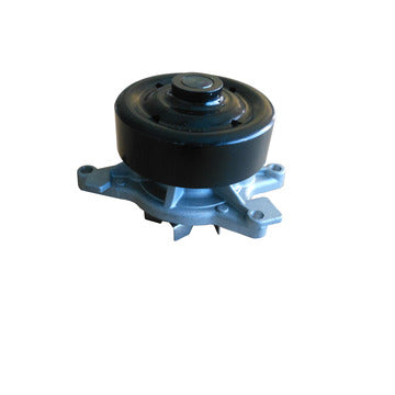 DP1504 Engine Water Pump Dayco Canada