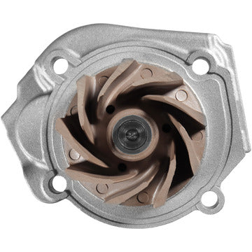 DP1746 Engine Water Pump Dayco Canada