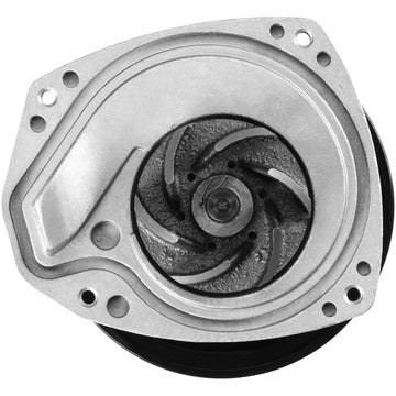 DP1912 Engine Water Pump Dayco Canada