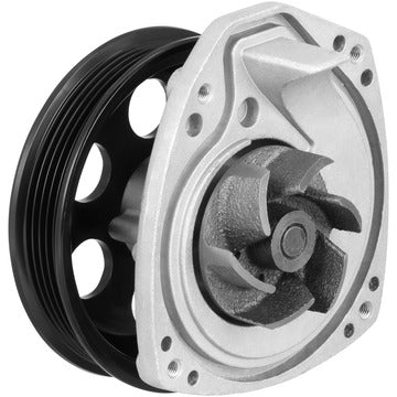 DP1912 Engine Water Pump Dayco Canada