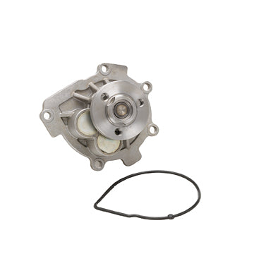 DP191 Engine Water Pump Dayco Canada