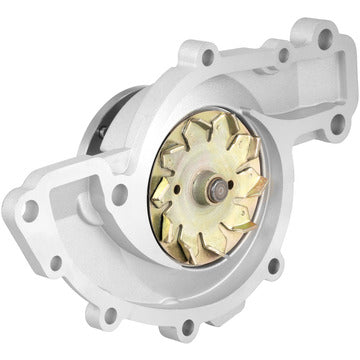 DP1927 Engine Water Pump Dayco Canada