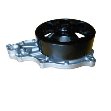 DP1933 Engine Water Pump Dayco Canada