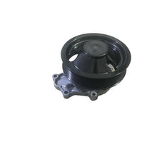 Load image into Gallery viewer, DP1964 Engine Water Pump Dayco Canada