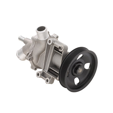 DP277 Engine Water Pump Dayco Canada