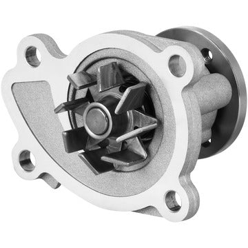 DP359 Engine Water Pump Dayco Canada