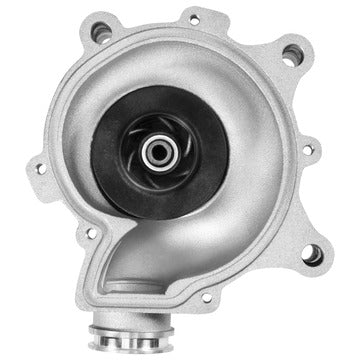 DP415 Engine Water Pump Dayco Canada