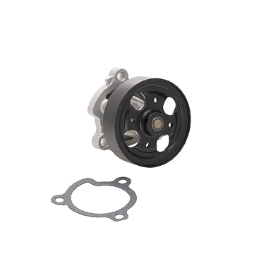 DP453 Engine Water Pump Dayco Canada