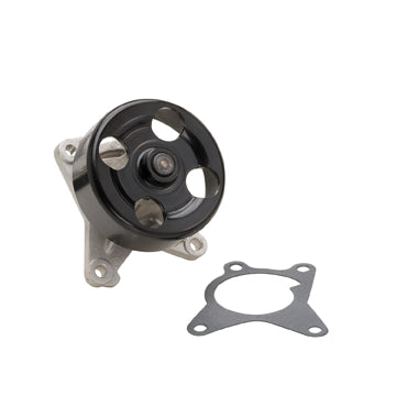 DP459 Engine Water Pump Dayco Canada
