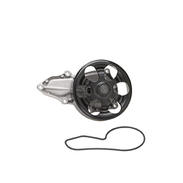 DP462 Engine Water Pump Dayco Canada