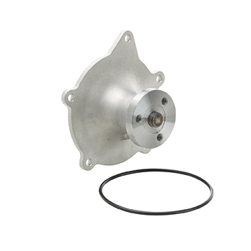 DP542 Engine Water Pump Dayco Canada