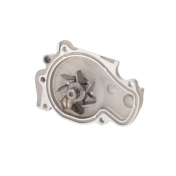 DP556 Engine Water Pump Dayco Canada