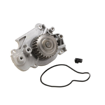 DP556 Engine Water Pump Dayco Canada