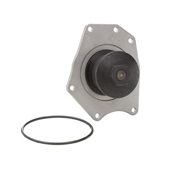 DP595 Engine Water Pump Dayco Canada