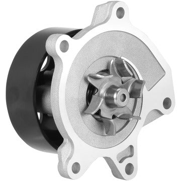 DP769 Engine Water Pump Dayco Canada
