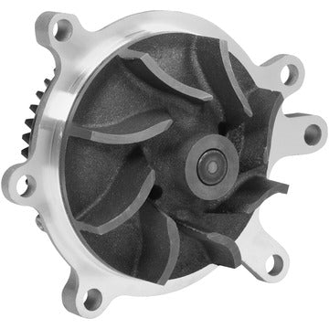 DP807BH Engine Water Pump Dayco Canada