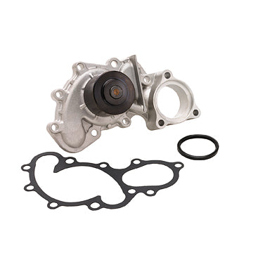 DP875 Engine Water Pump Dayco Canada
