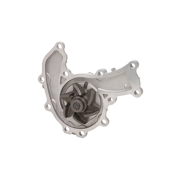 DP919 Engine Water Pump Dayco Canada