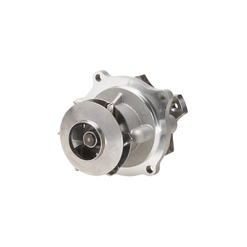 DP965 Engine Water Pump Dayco Canada