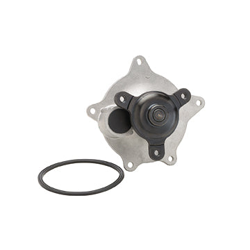 DP969 Engine Water Pump Dayco Canada