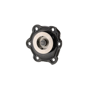 DP975 Engine Water Pump Dayco Canada