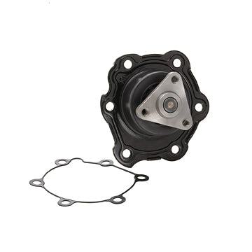 DP975 Engine Water Pump Dayco Canada