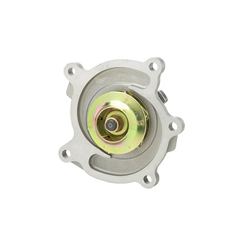 DP981 Engine Water Pump Dayco Canada