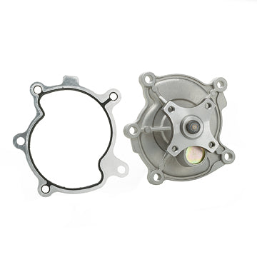 DP981 Engine Water Pump Dayco Canada