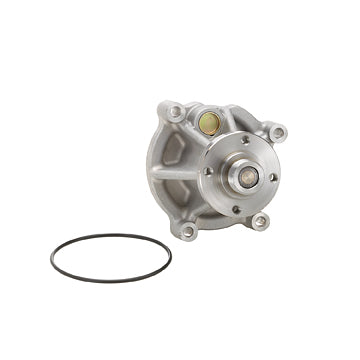 DP984 Engine Water Pump Dayco Canada