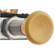 Load image into Gallery viewer, DS-234 Standard Ignition Push / Pull Switch Standard Ignition Canada